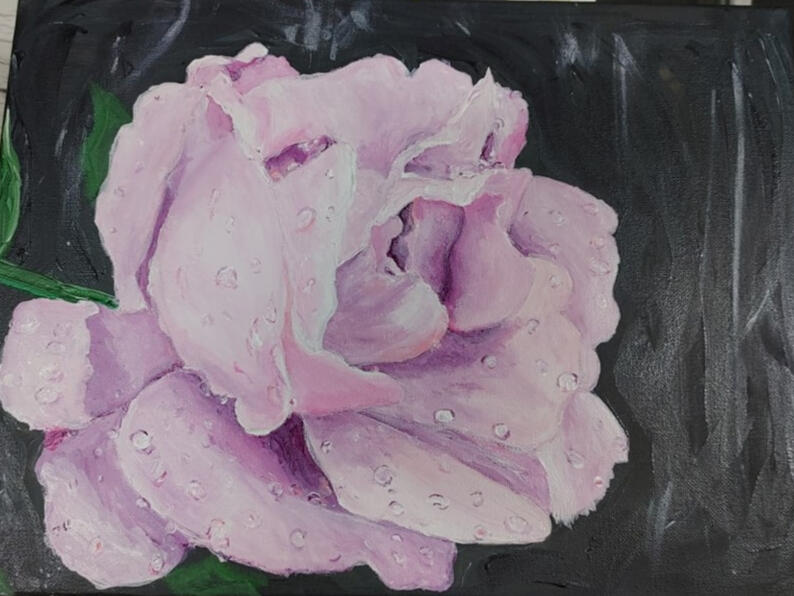Raindrops on Roses -Pink